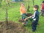 Jardinage-Apport-Compost2