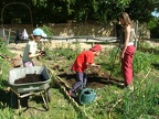 Jardinage-Apport-Compost3