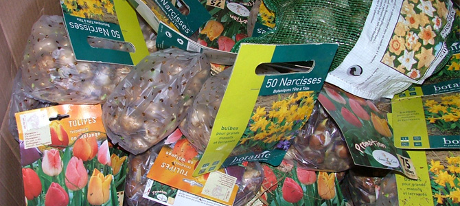 Sachets de bulbes de Botanic retirés de la vente et récupérés par l'Écolothèque