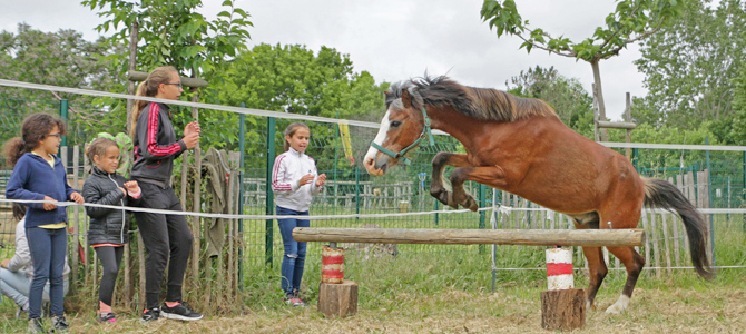 Un groupe d'enfants regarde un cheval sauter un obstacle dans un rond de longe