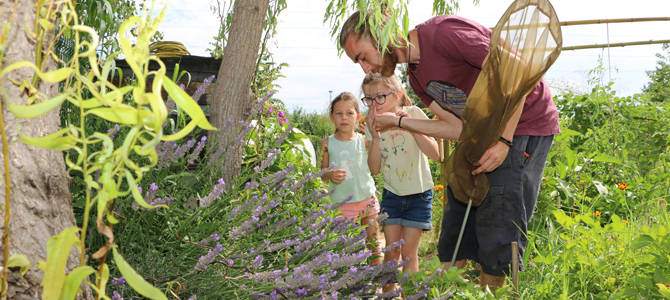 Deux enfants accompagnés par un animateur observent des insectes et découvrent les plantes mélifères dans le jardin de Grand-père