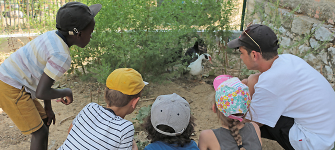 Un animateur et des enfants observent des canards dans leur enclos