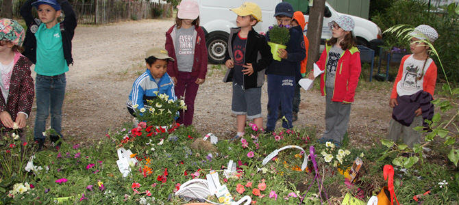 Récupération de plantes de Botanic par les enfants de l'accueil de loisirs de l'Écolothèque avant plantation sur le domaine