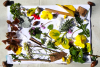 Des fleurs et des feuilles collées sur du papier blanc forment un tableau