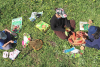 Un enfant, entouré de documents d'identification de petites bêtes, observe des insectes avec une loupe pendant que 2 autres enfants, disposant de livres sur les arbres, jouent aux cartes avec des feuilles d'arbres