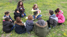 Une intervenante montre une image d'abricot et demande à un groupe d'enfants comment le nommer en anglais