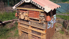 Vue sur l'hôtel à insectes construit par les enfants