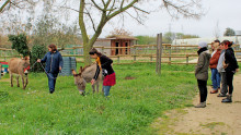 4 personnes observent deux agents qui sont en train de promener des ânes avec une corde et un licol