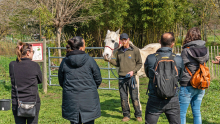 un agent tient un cheval et explique à un groupe les consignes de sécurité pour manipuler cet animal