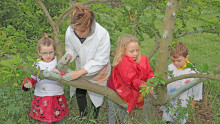 3 enfants et une animatrice protègent un abricotier en appliquant sur le tronc un badigeon d'argile