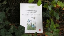 Livre "Chroniques du vivant" au sol contre un tronc d'arbre avec des feuilles de lierre et de houx