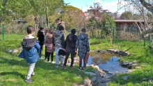 Un groupe d'enfant de dos observent la mare de l'Écolothèque