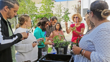 un groupe d'adultes regardent une animatrice montrant une plante