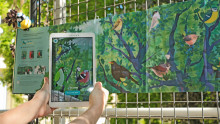 Des mains tiennent une tablette devant l'exposition présentant des dessins d'oiseaux dans un arbre