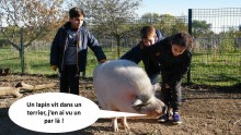 Un cochon discute avec trois enfants