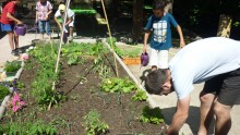 Entretien du jardin potager de l’accueil de loisirs « La clé des champs » avec des enfants et leur animateur