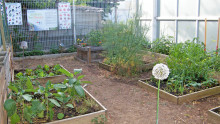 Vue sur un jardin pédagogique