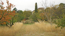 Vue du bâtiment de l'Écolothèque avec des arbres aux couleurs de l'automne