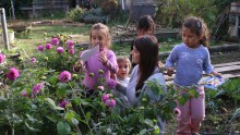 Des enfants acoompagnés d'un animateur collectent des pétales de fleurs pour réaliser des palettes de couleurs