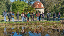 Une dizaine de personnes sont devant une étendue d'eau à observer les nenuphars