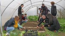 Dans une serre pédagogique de l'Écolothèque, des agents communaux préparent le sol à l'aide d'outils de jardinage.