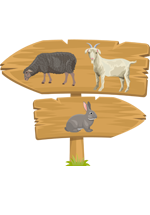 Illustration de deux panneaux en bois sur lesquels il y a un mouton, une chèvre et un lapin