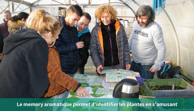 des agents jouent au jeu du mémory avec des plantes aromatiques