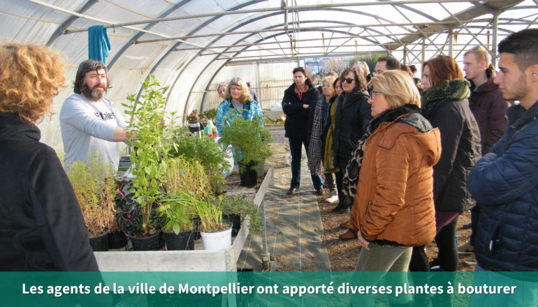 un agent de la ville de Montpellier présente toutes les plantes que les participants pourront bouturer