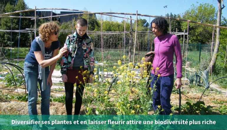 3 personnes au potager observent des fleurs