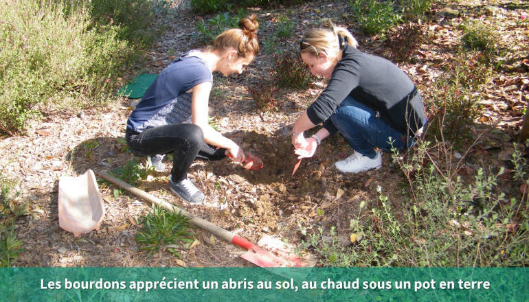 Deux personnes creusent un trou dans le sol pour installer un pot en terre qui servira d'abris aux bourdons