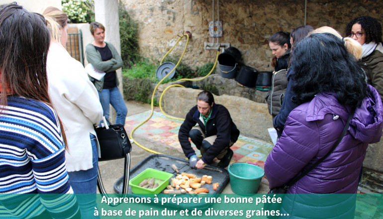 Apprenons à préparer une bonne pâtée à base de pain dur et de diverses graines...