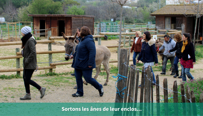 Sortons les ânes de leur enclos...