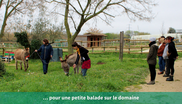 … pour une petite balade sur le domaine