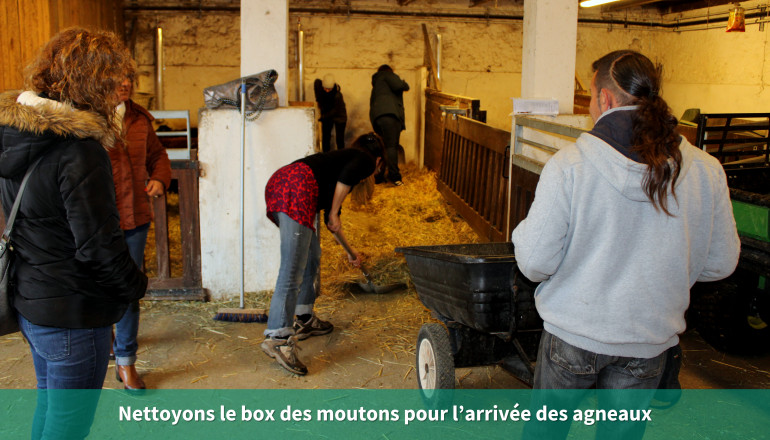 Nettoyons le box des moutons pour l’arrivée des agneaux