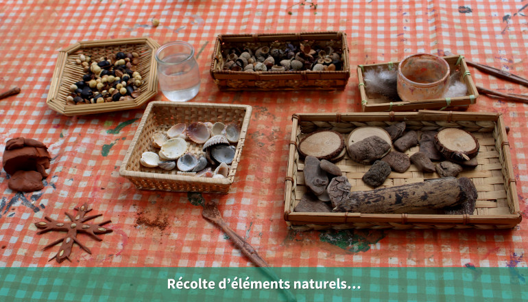 Récolte d’éléments naturels…