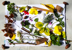 Des fleurs et des feuilles collées sur du papier blanc forment un tableau