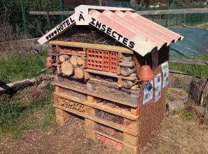 Vue sur l'hôtel à insectes construit par les enfants