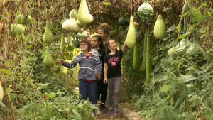 un groupe d'enfant et leur animatrice s'étonnent des toutes ces coloquintes au tunnel de courges