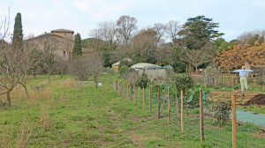 Vue du bâtiment de l'Écolothèque et du jardin de céréales avec un épouvantail