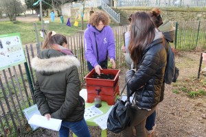 Un animatrice de l'Écolothèque présente le fonctionnement d'un vermicomposteur à des agents des communes de Montpellier Méditerranée Métropole.