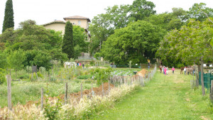 Une vue du bâtiment de l'Écolothèque avec des groupes d'enfants promenant des chevaux et des ânes