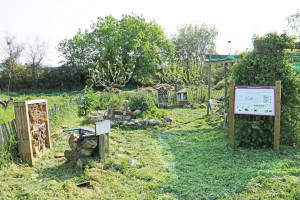 Vue sur le jardin des insectes avec des hotels à insectes et refuges à hérissons