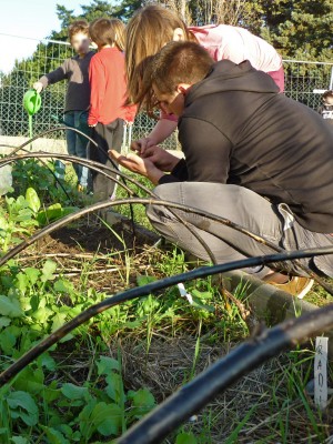 Entretien d'un jardin d'école