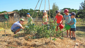 un groupe d'enfant arrose une butte sandwich