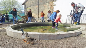 Des enfants et des parents nettoient la mare des canards