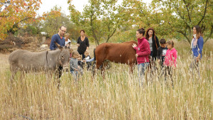 un groupe de parents, d'animateurs et d'enfants promène un âne et un cheval