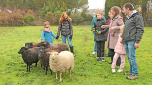 Des enfants et des parents autour d'un troupeau de moutons