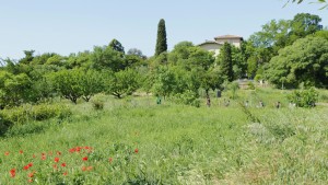 Domaine de l'Écolothèque