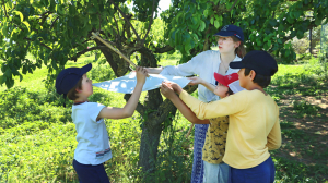 3 enfants et une animatrice se servent un tissu blanc pour faire tomber les petites bêtes d'un arbre