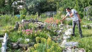 Vue sur un jardin fleuri avec une personne approchant sa main d'une fleur